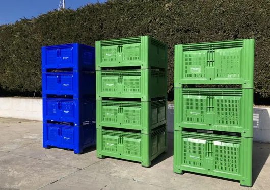 Bins in plastica con mele fresche per stoccaggio alimentare